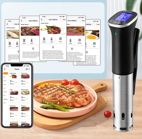 INKBIRD ISV 300W